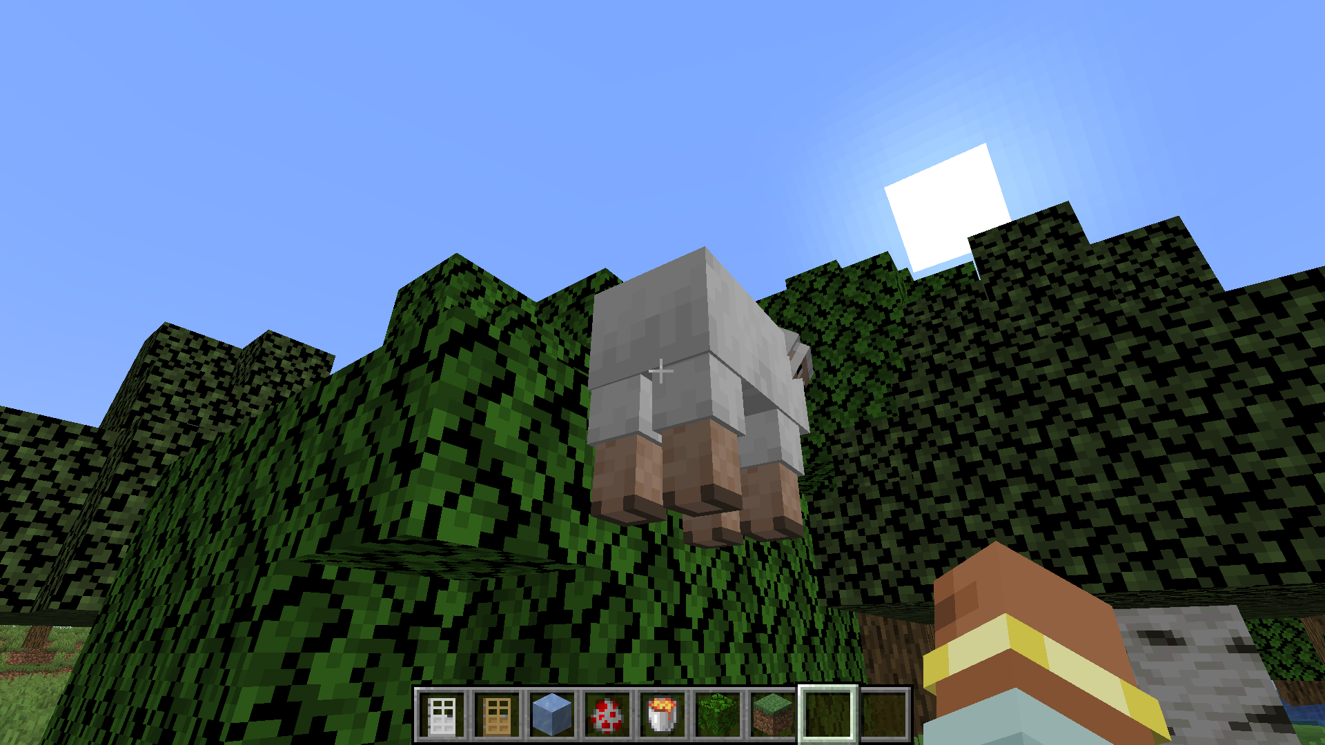 Levitate Entities & Mobs